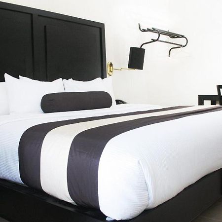 Hotel El Camino Inn & Suites Рейноса Екстер'єр фото